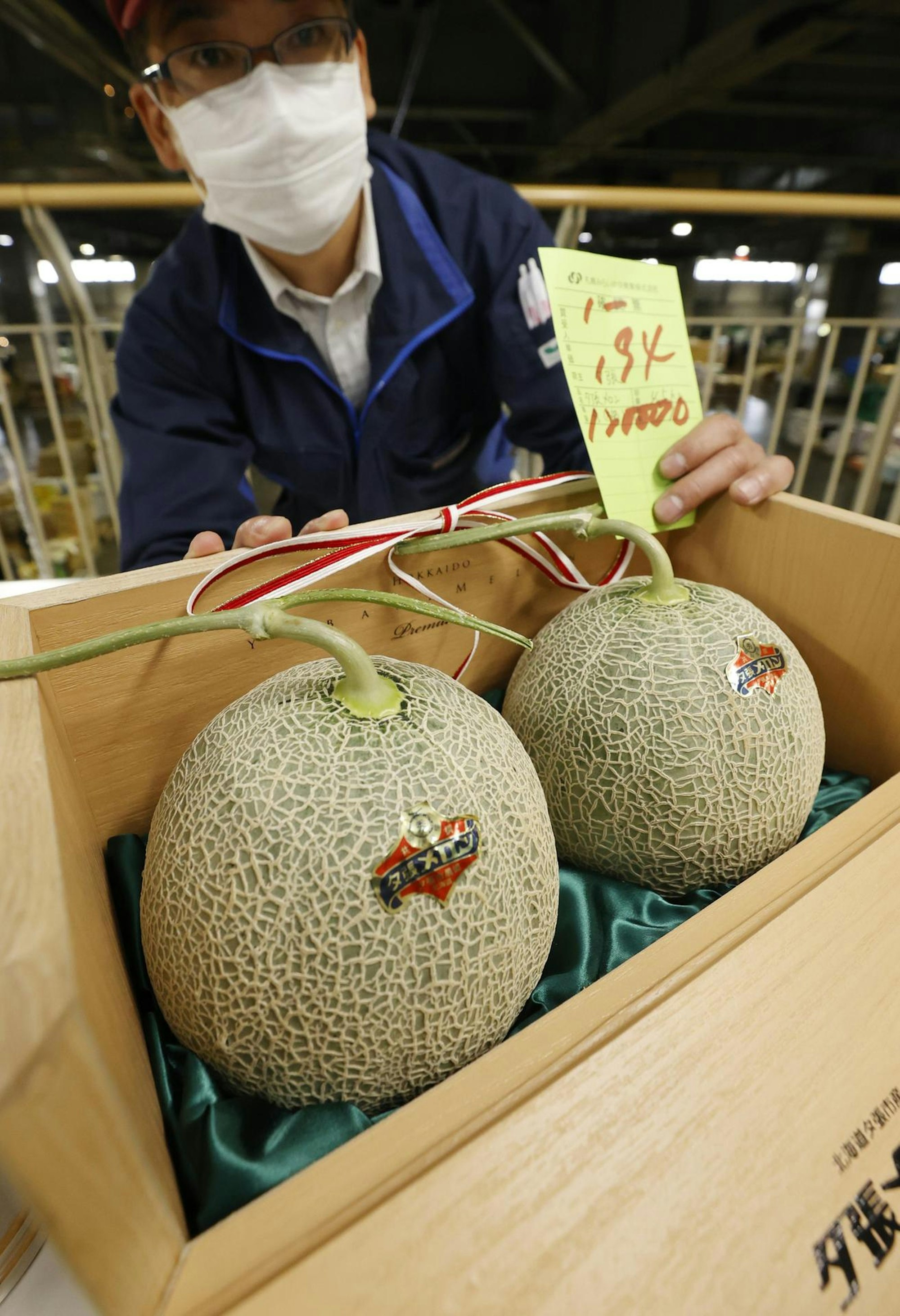 Yubari-Melonen (1)