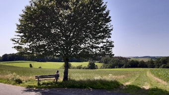 Ein Mensch sitzt unter einem Baum auf einer Bank und blickt auf ein Feld.