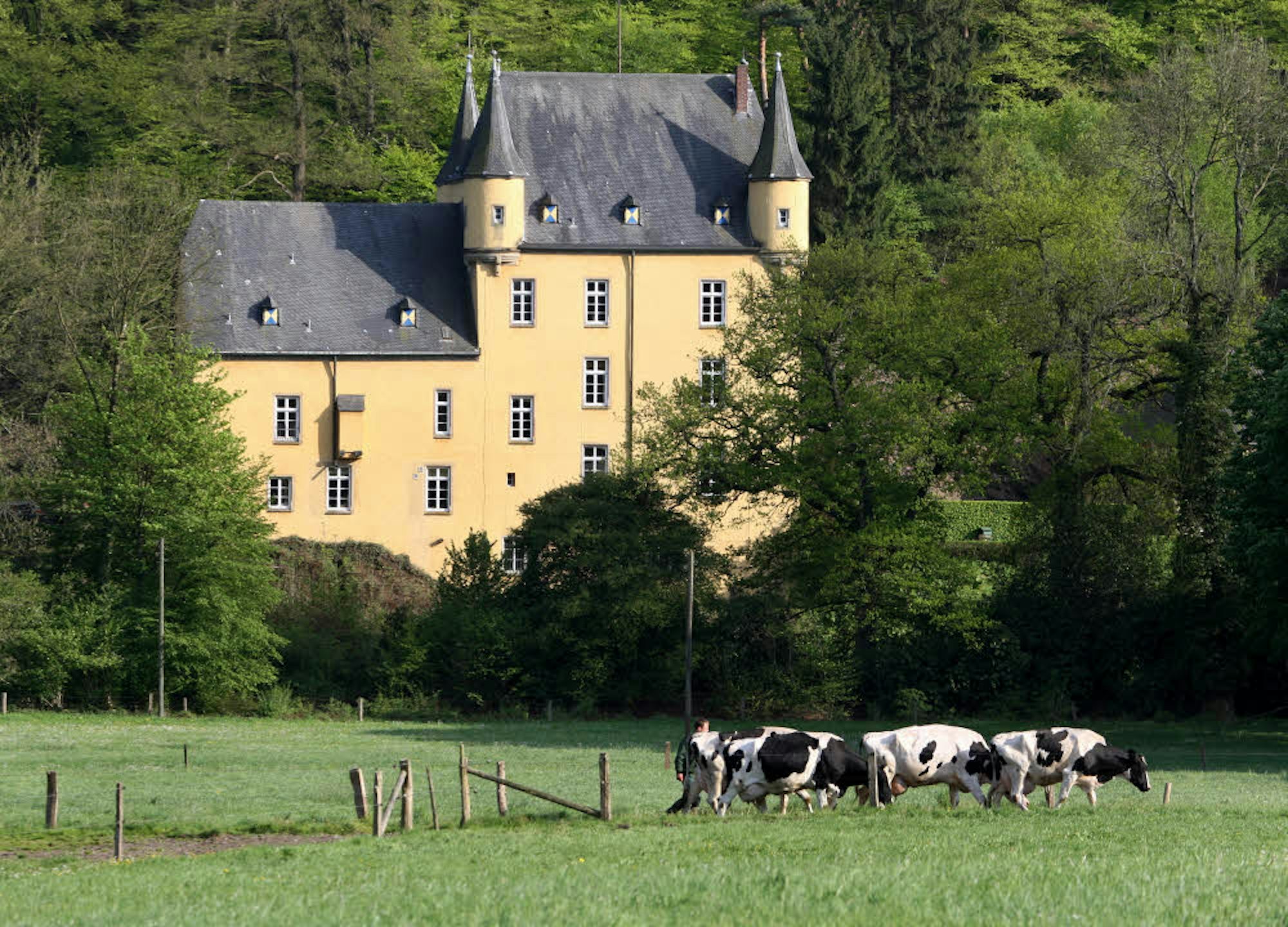 Auf Schloss Strauweiler auf der anderen Seite des Dhünntals wohnt ein Adeliger: Hubertus Prinz zu Sayn-Wittgenstein.