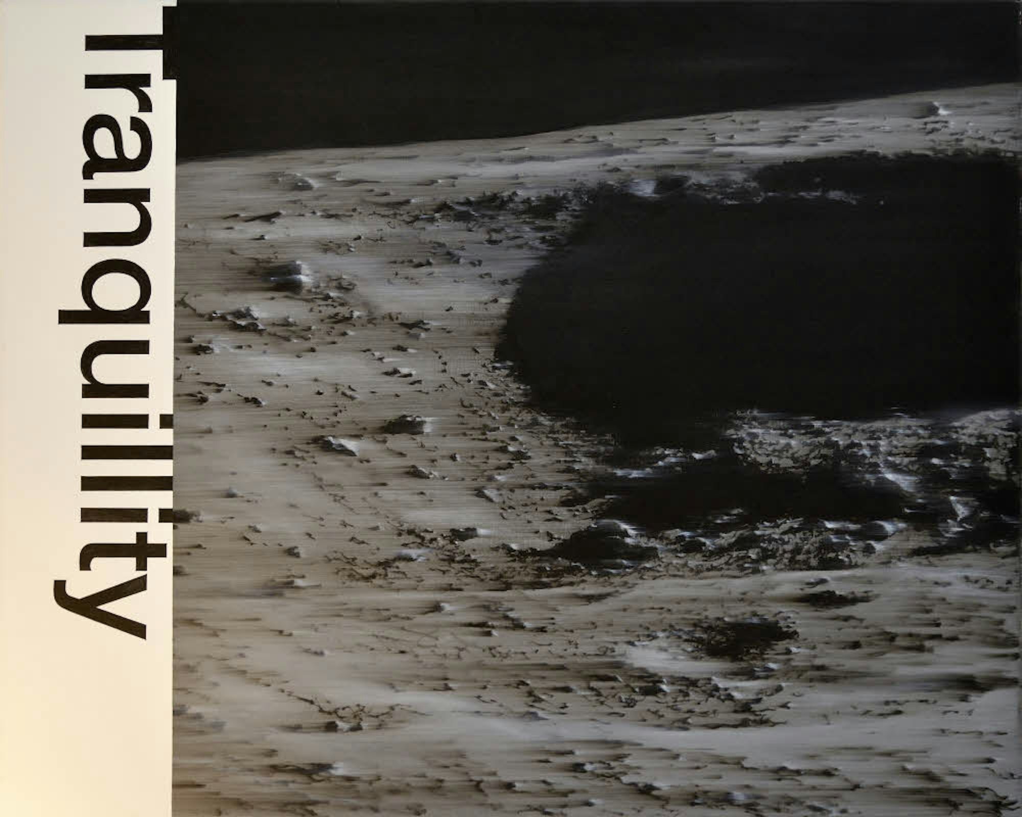 Die Landefläche von Apollo 11 am Tranquility-Mondmeer in der Interpretation des Künstlers.