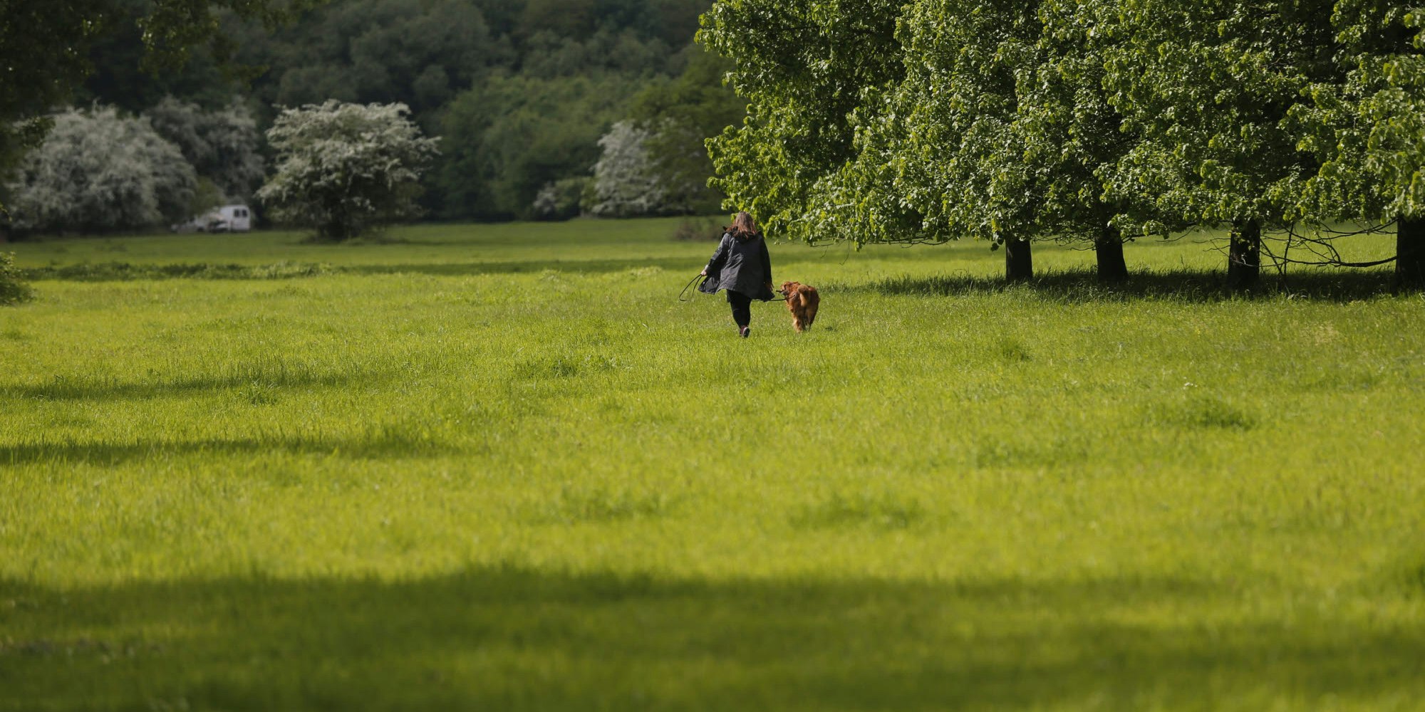 In der Westhovener Aue gibt es Wiesen, auf denen Hunde frei laufen dürfen, und andere, wo das verboten ist. 