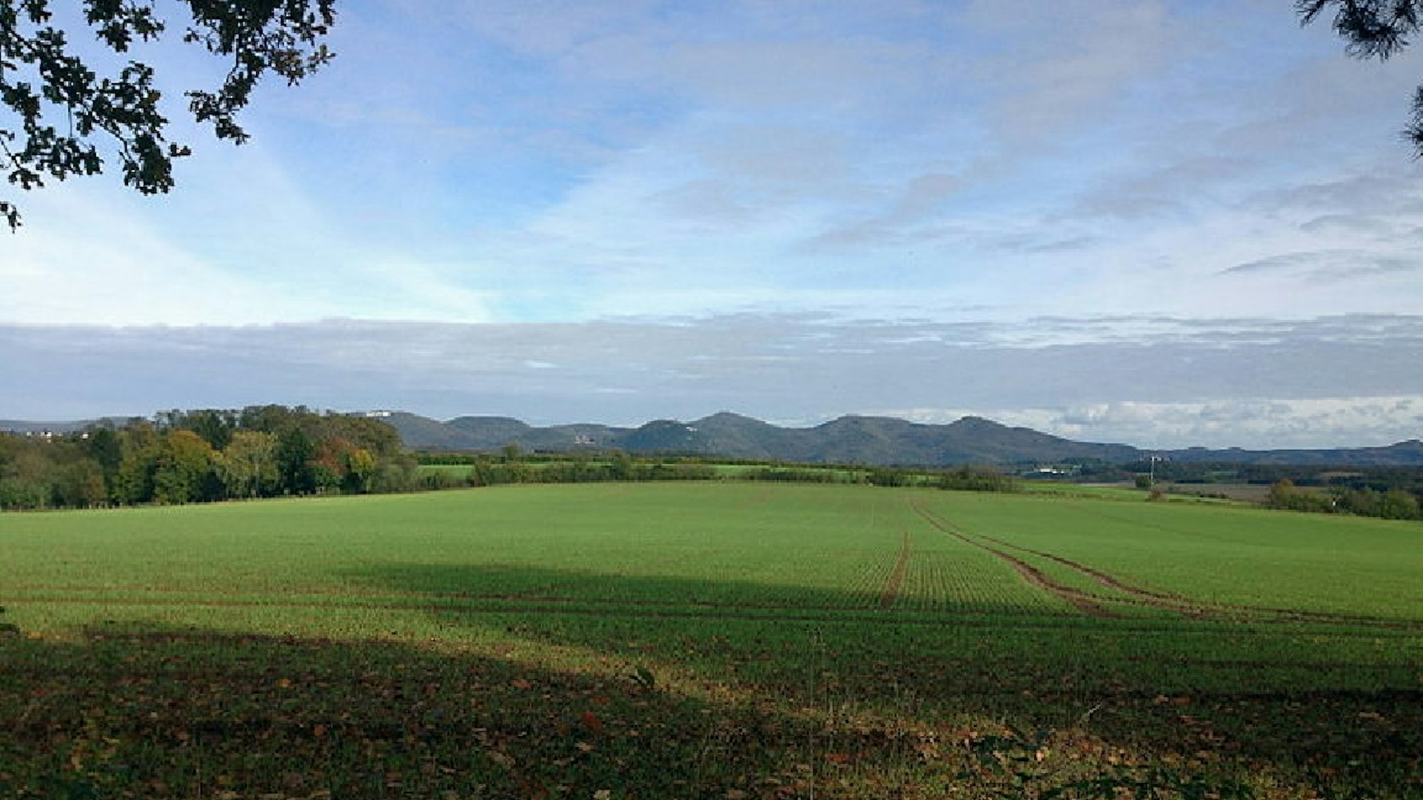 Blick auf ein grünes Feld, Berge im Hintergrund