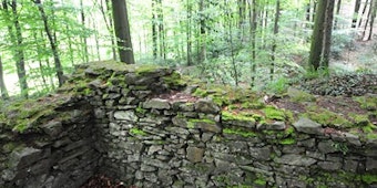 Meterdicke Mauerreste im Wald lassen ahnen, wie sich hier einst der Turm einer Ritterburg auf dem Hügel über der Wupperaue erhob. (Bild:Britta Berg)