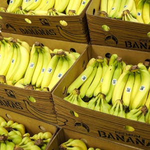 Fairtrade Bananen Lidl