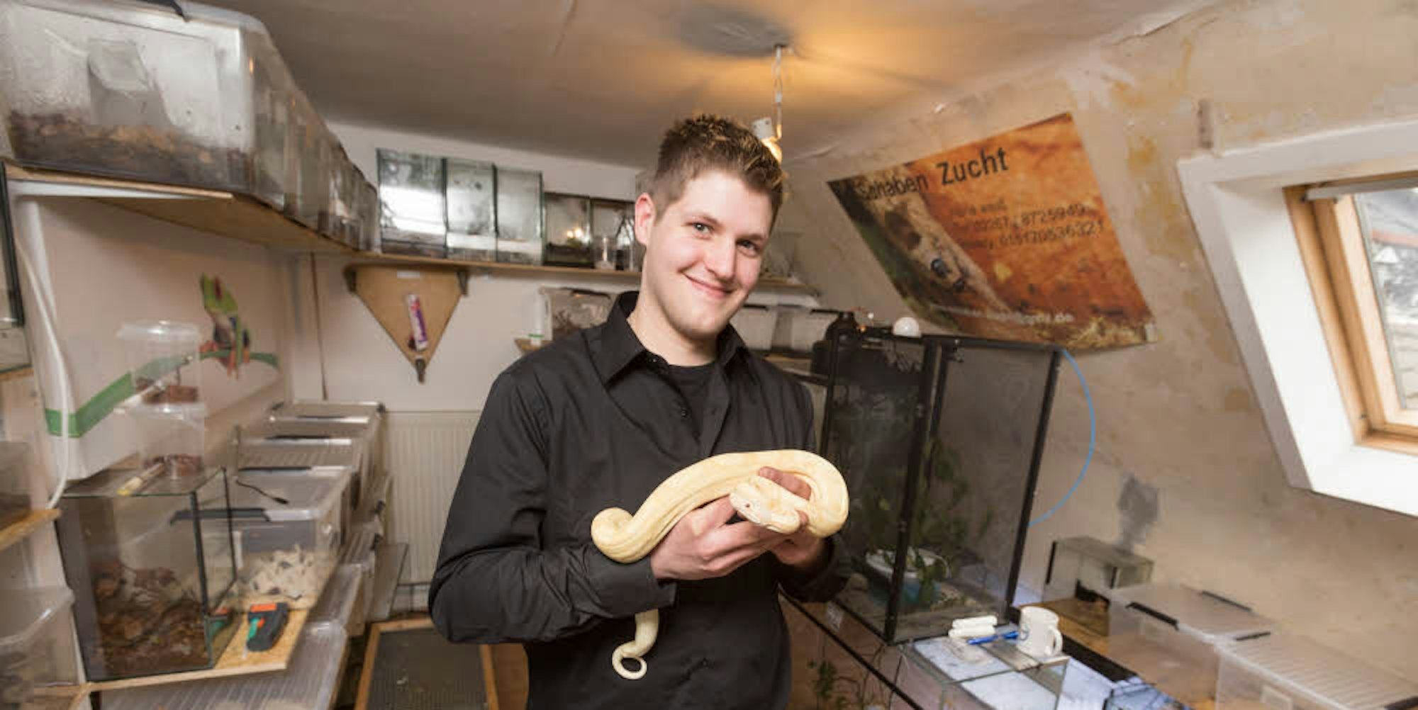 Züchter René Weiß mit einer Boa Constrictor in seiner Wohnung. Das Hobby nimmt viel Platz ein.