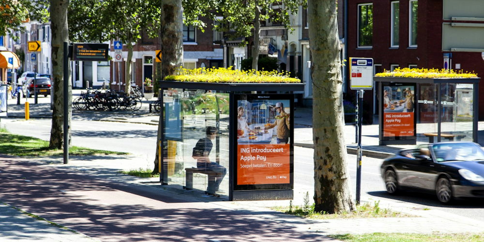Ein echter Hingucker und ein Gewinn für Stadt: Die begrünten Dächer der Bushaltestellen in Utrecht bieten bedrohten Wildbienen Nahrung.