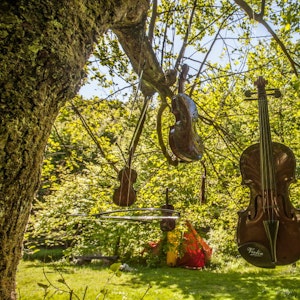 „Der Himmel hängt voller Geigen“ meint Klaus Fuisting und hat sie samt Bögen im Sinneswald in einen Baum gehängt.