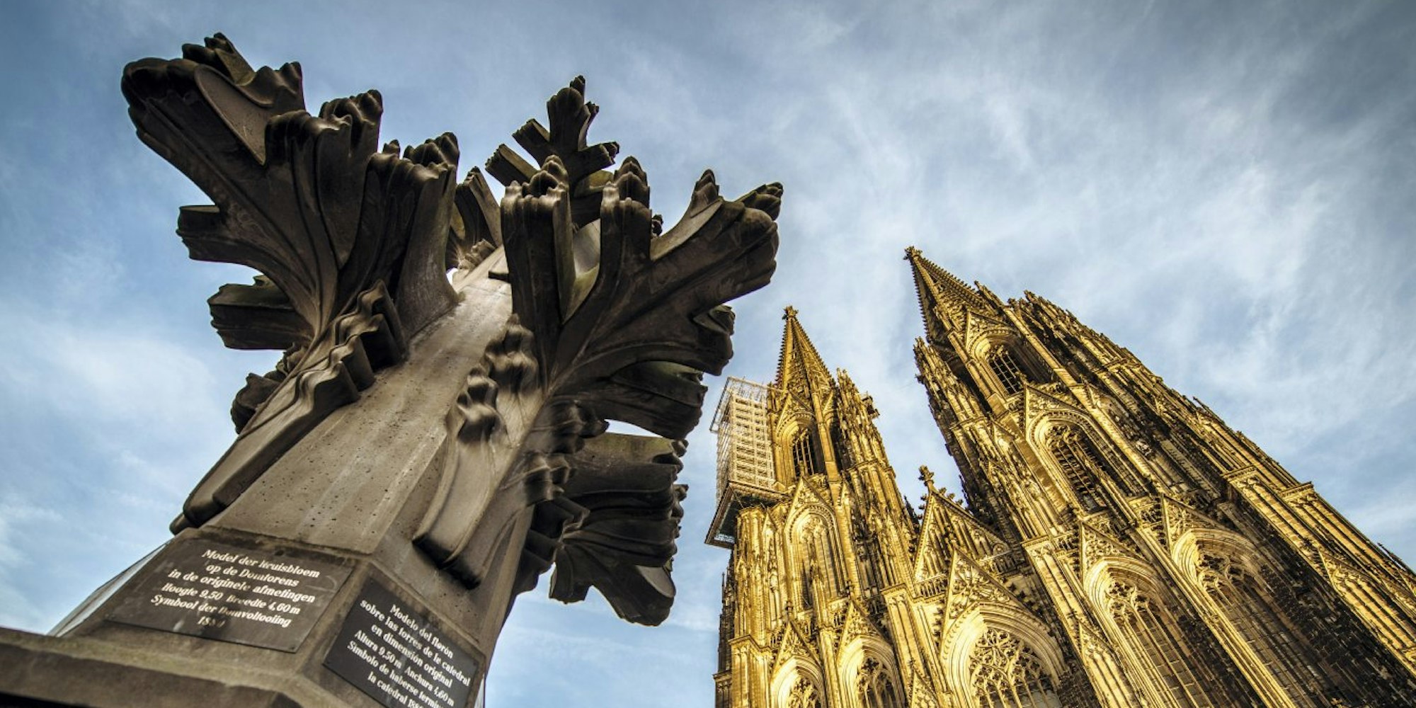 Die Kreuzblume vor dem Kölner Dom