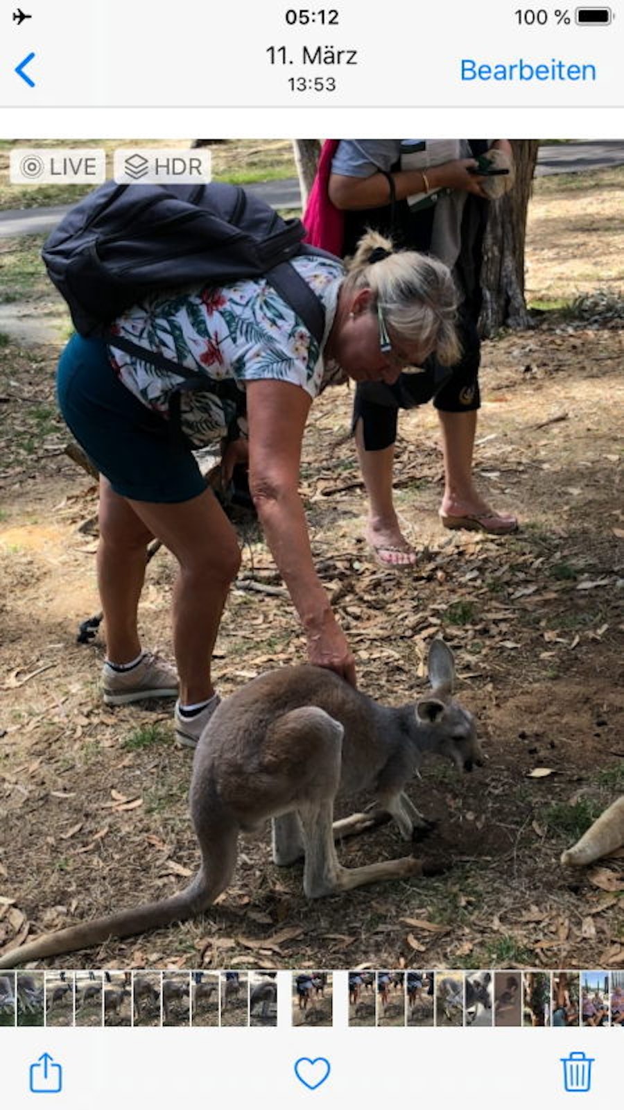 In Adelaide, vor der großen Irrfahrt, begegneten sie Kängurus.