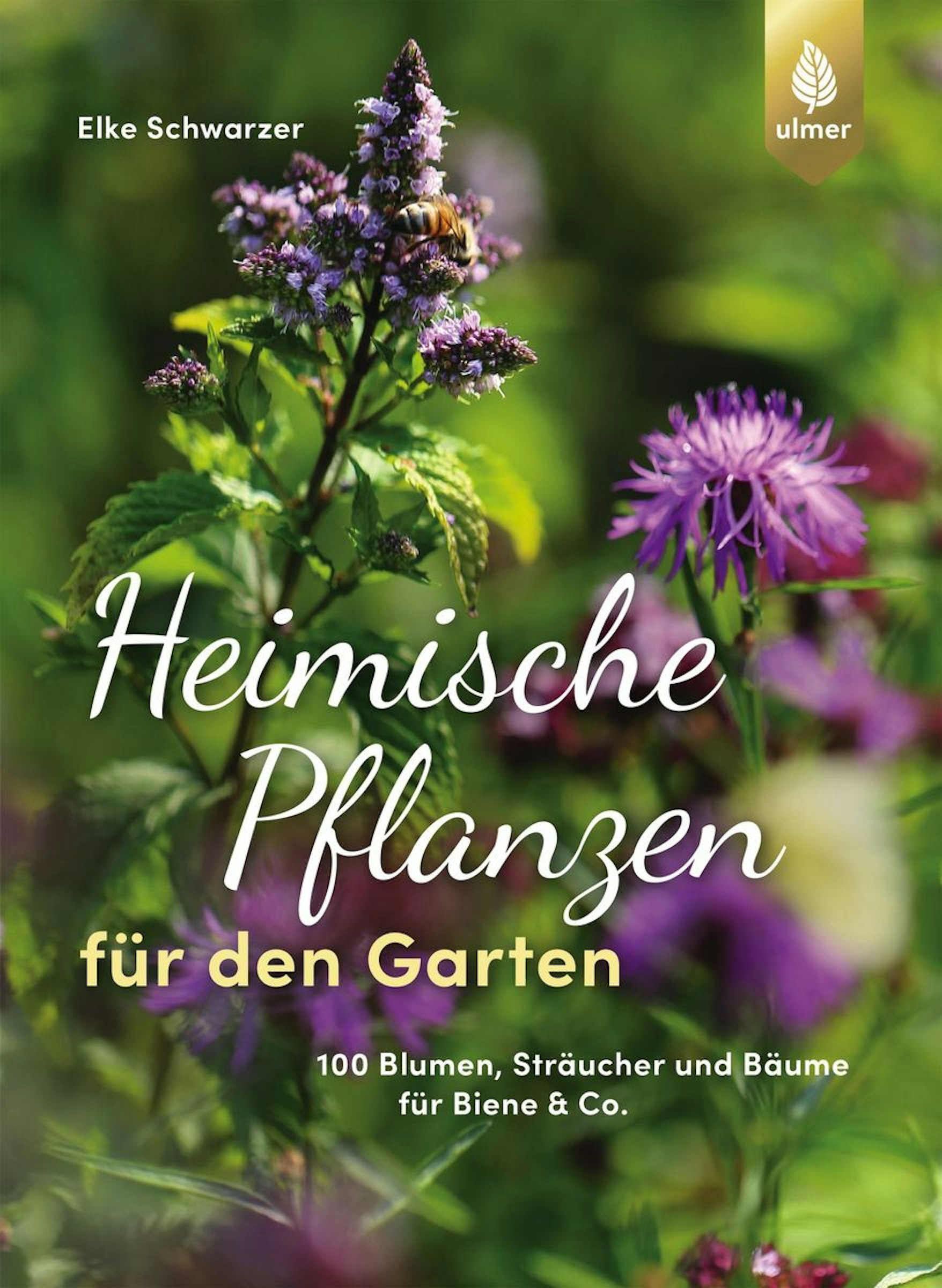 Heimische-Pflanzen-fuer-den-Garten_NjAzOTIzOQ-878x1200