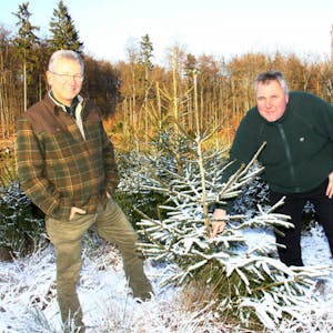 In einer Schonung im Revier Marmagen-Wald demonstrieren Jörg Schmieder (r.) und Hajo Baum, dass der Verbiss durch Rotwild stark nachgelassen hat.