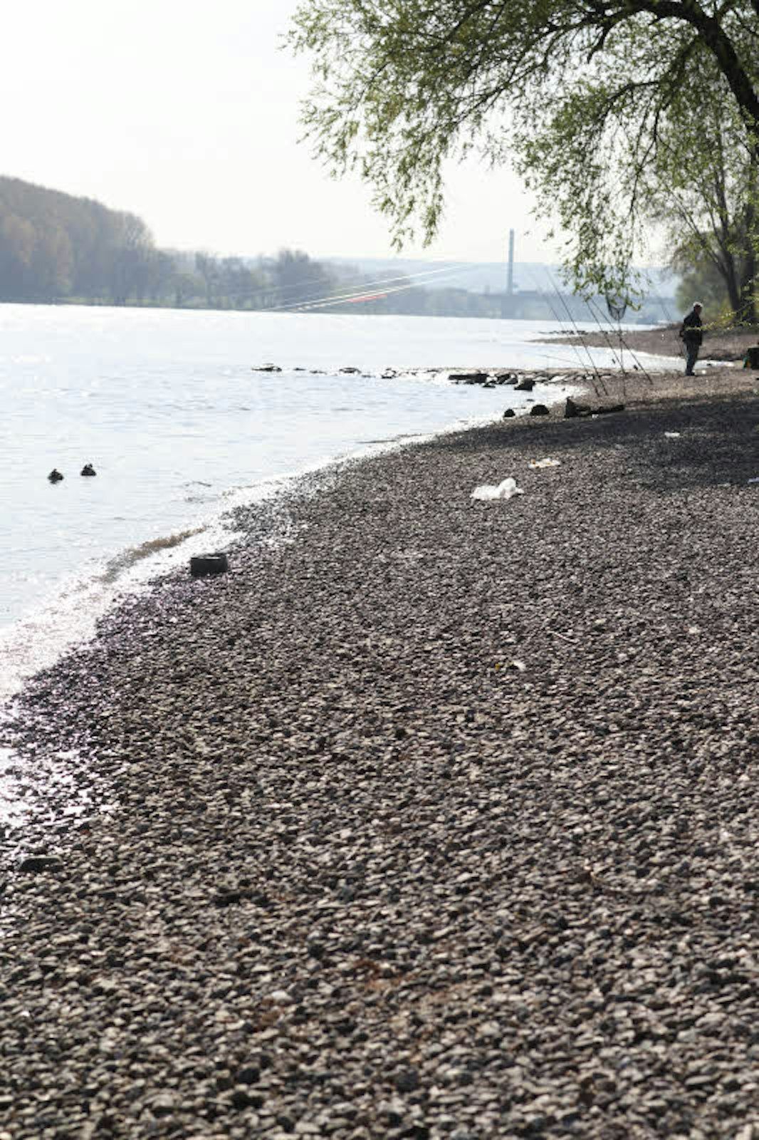 Die Steine am Rheinufer können viele Geschichten erzählen.