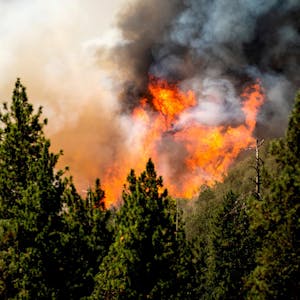 Waldbrände Kalifornien 250722