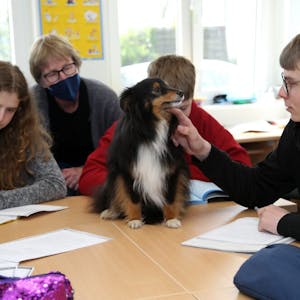Schulhund Tilda ist gerne dabei, wenn die Realschüler büffeln. Hier freuen sich (v.l.) Pia, Lehrerin Nicole Treunowski, Daniel und Jan über den tierischen Besuch beim Lernen.