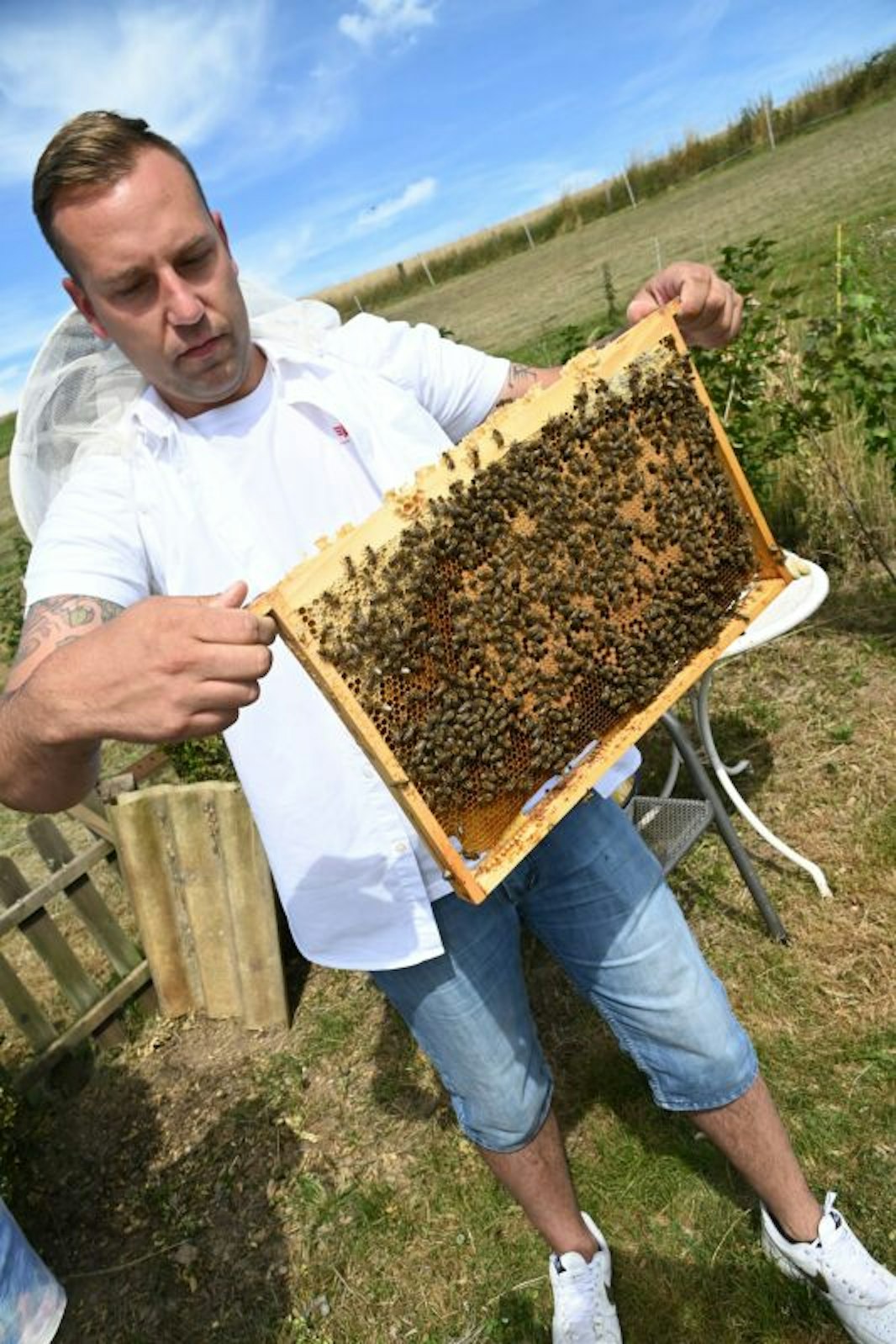 Thomas Zaun mit seinen Bienen – die Tiere sind inzwischen mehr als ein Hobby für ihn.
