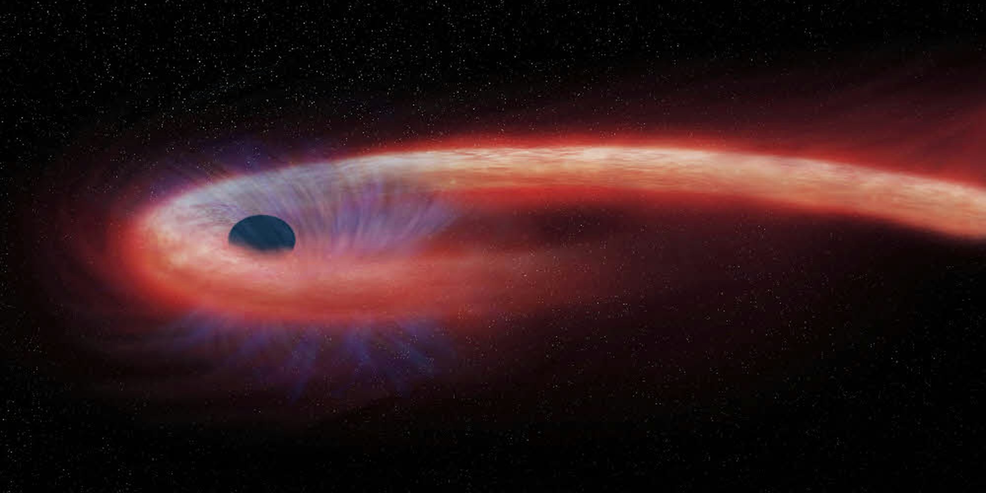 Diese von der Nasa bereitgestellte künstlerische Darstellung zeigt einen Stern, der von einem Schwarzen Loch geschluckt wird und dabei einen Schweif aus Röntgenstrahlen nach sich zieht, dargestellt in rot.