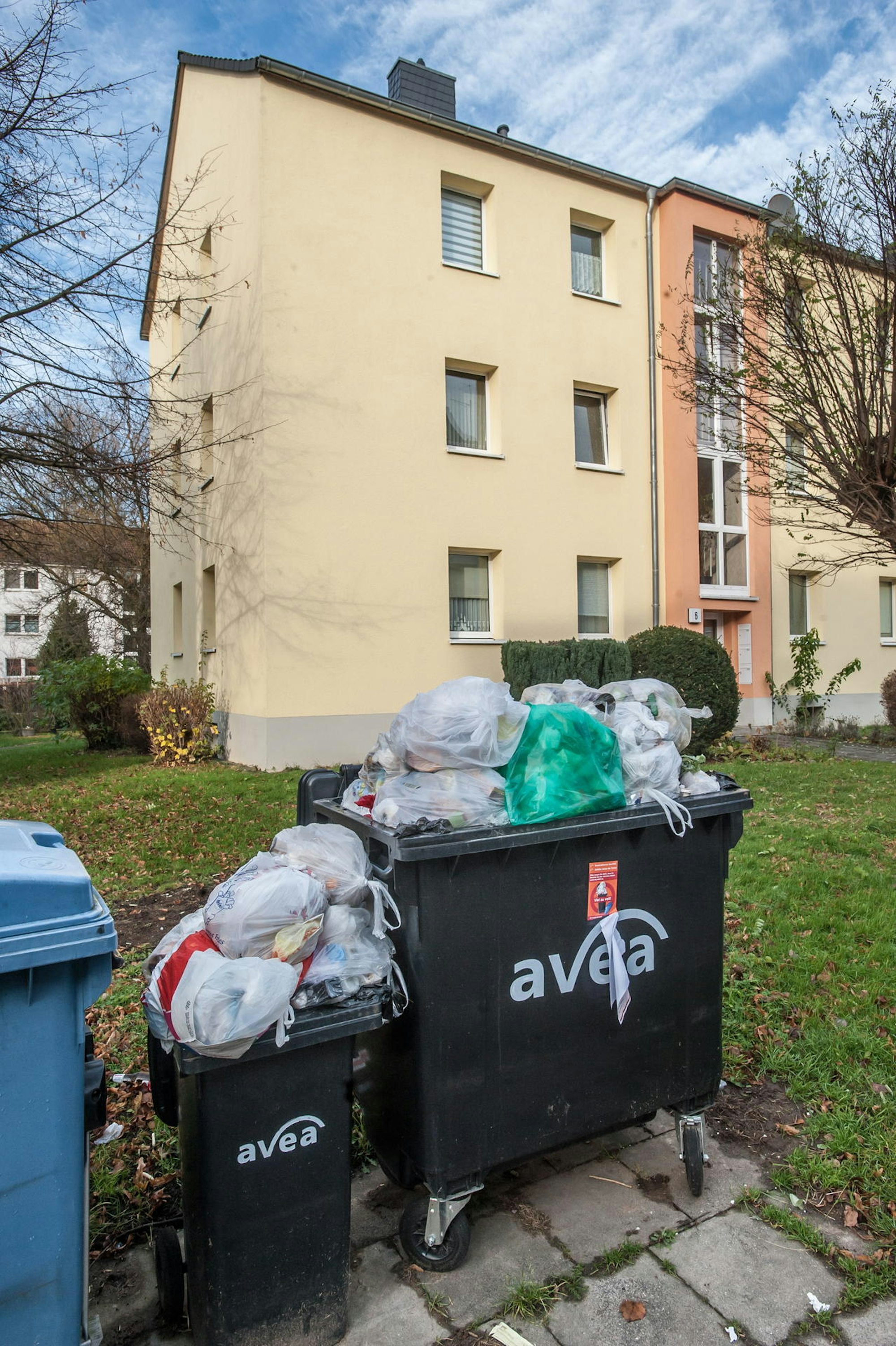 Überfüllte Mülltonnen locken seit Jahren Ratten in die Feldstraße.