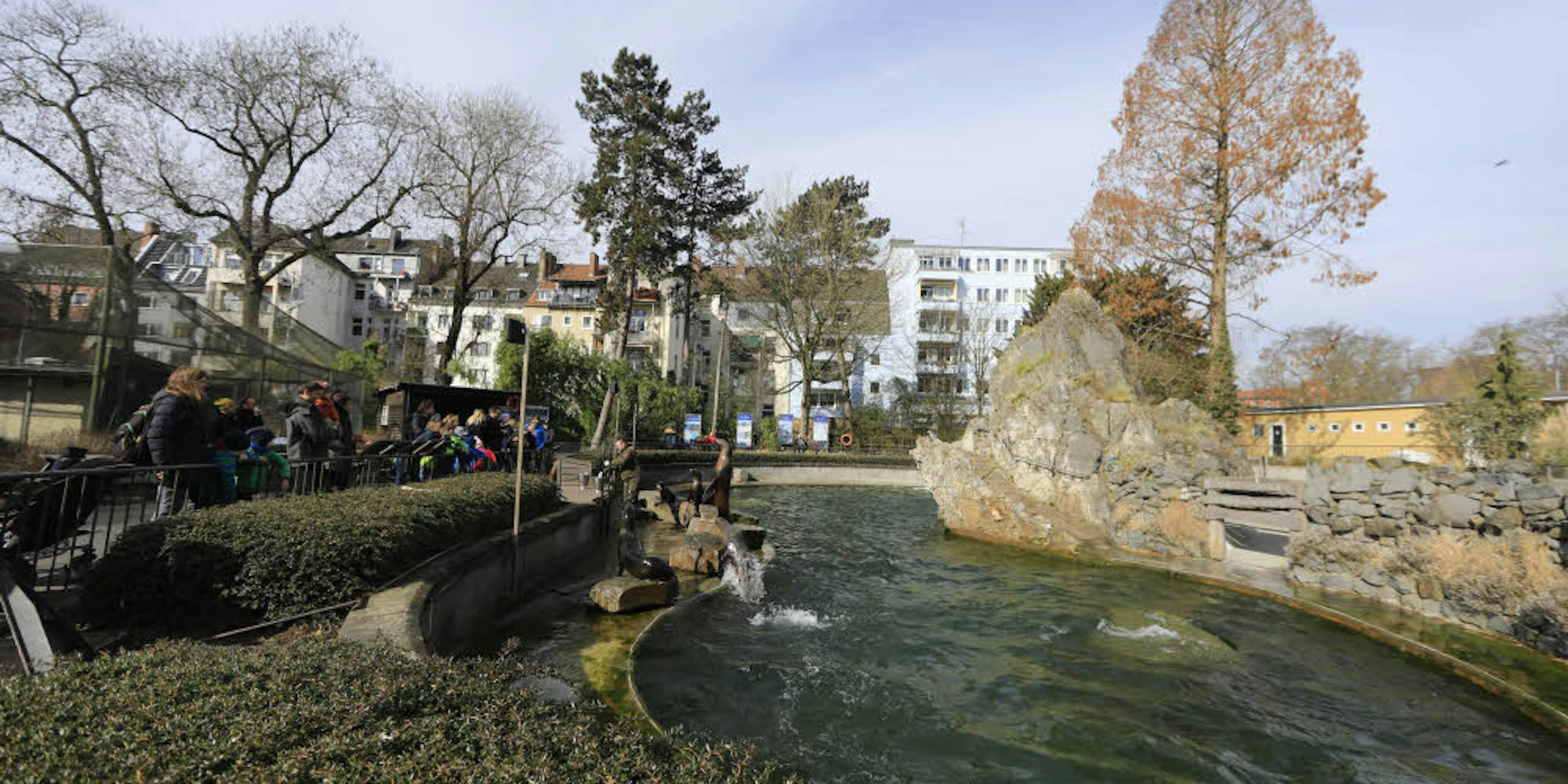 Das Seelöwen-Gelände im Kölner Zoo
