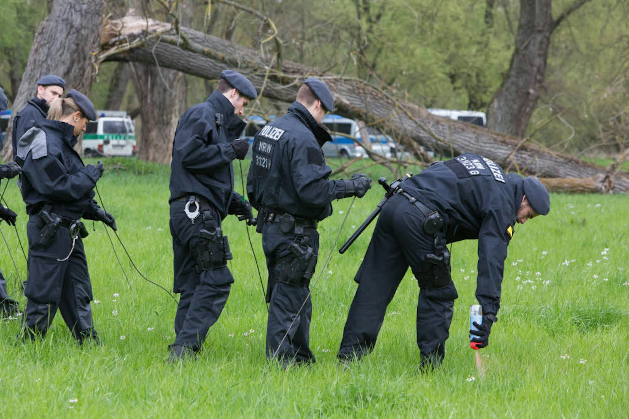 Polizisten einer Einsatzhundertschaft bei der Spurensuche in der Siegaue.