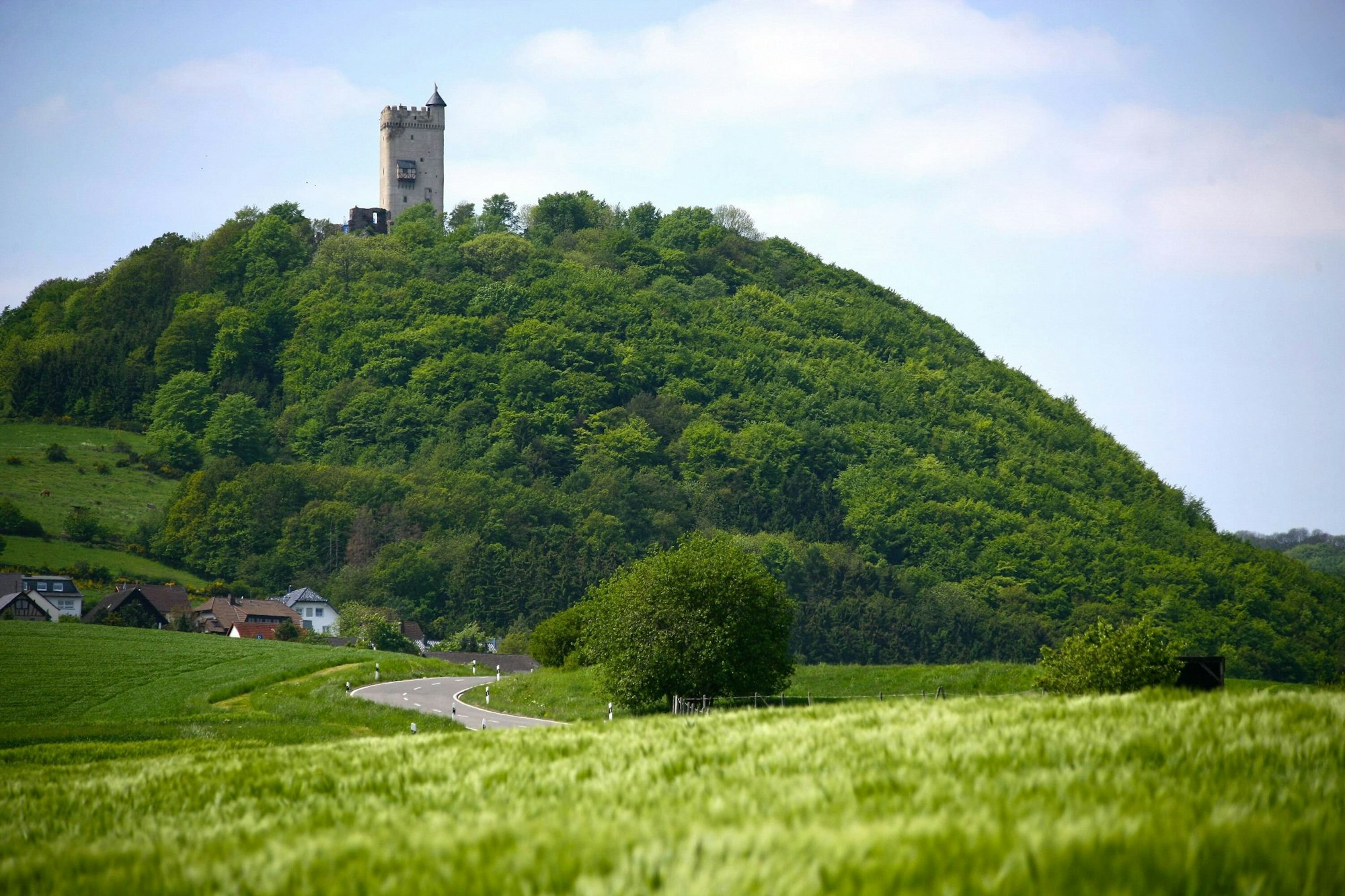 Eifel Burg Olbrück imagoManngold