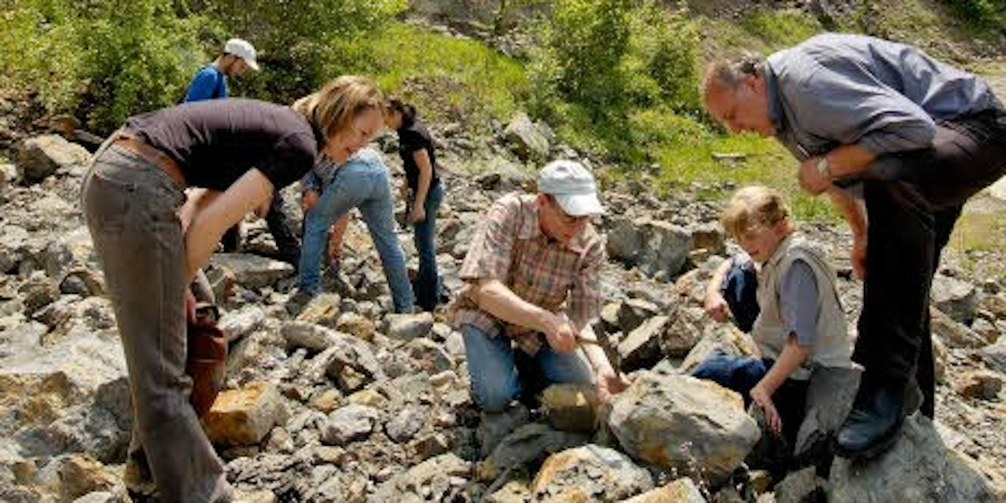In der Sötenicher Kalkmulde lassen sich viele 390 Millionen Jahre alte Fossilien entdecken. Bei der „Archäologietour Nordeifel 2012“ können die Besucher selbst auf Entdeckungsreise gehen.