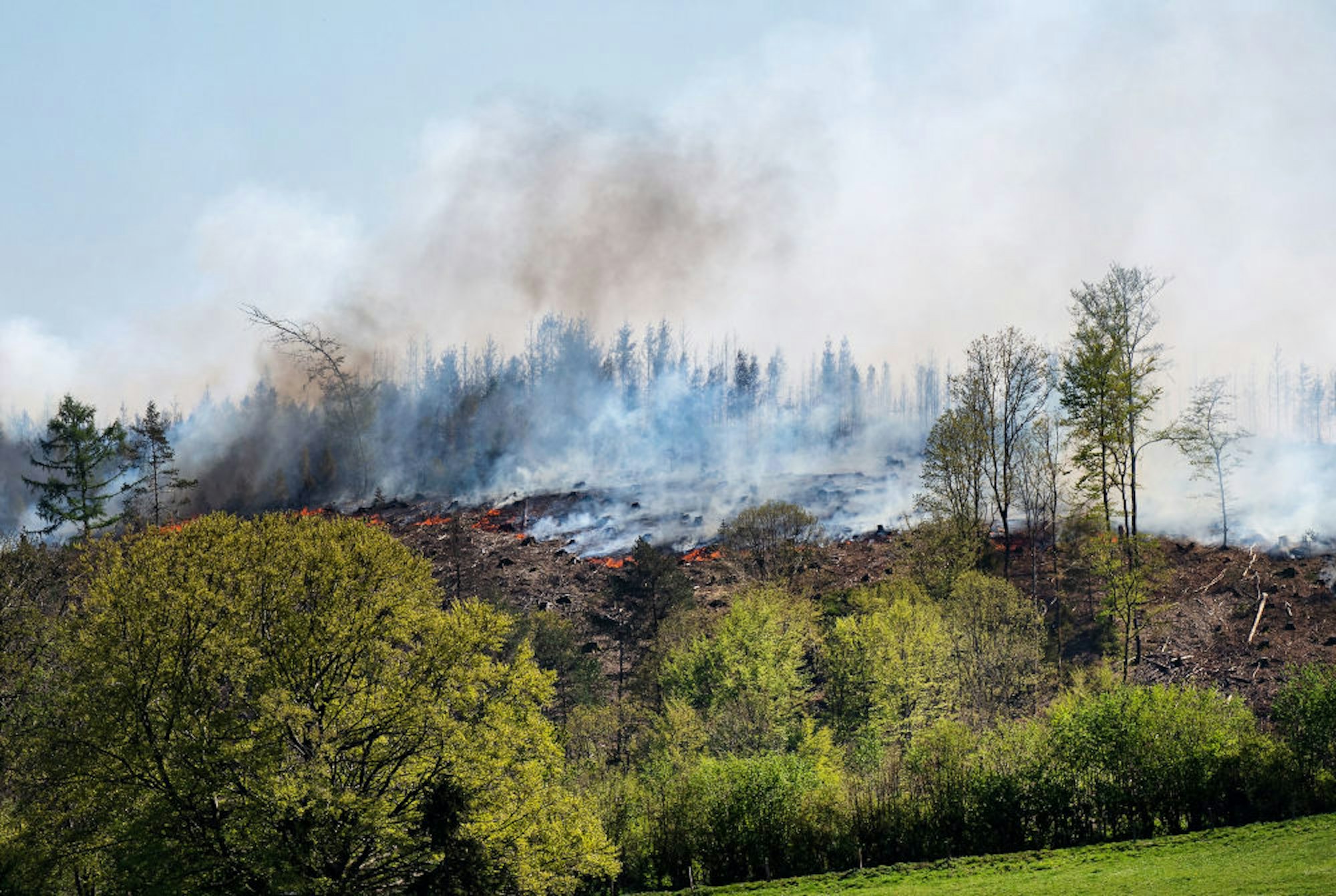 Der Waldbrand hat in auf dem Hömericher Kopf bei Gummersbach erhebliche Schäden hinterlassen.