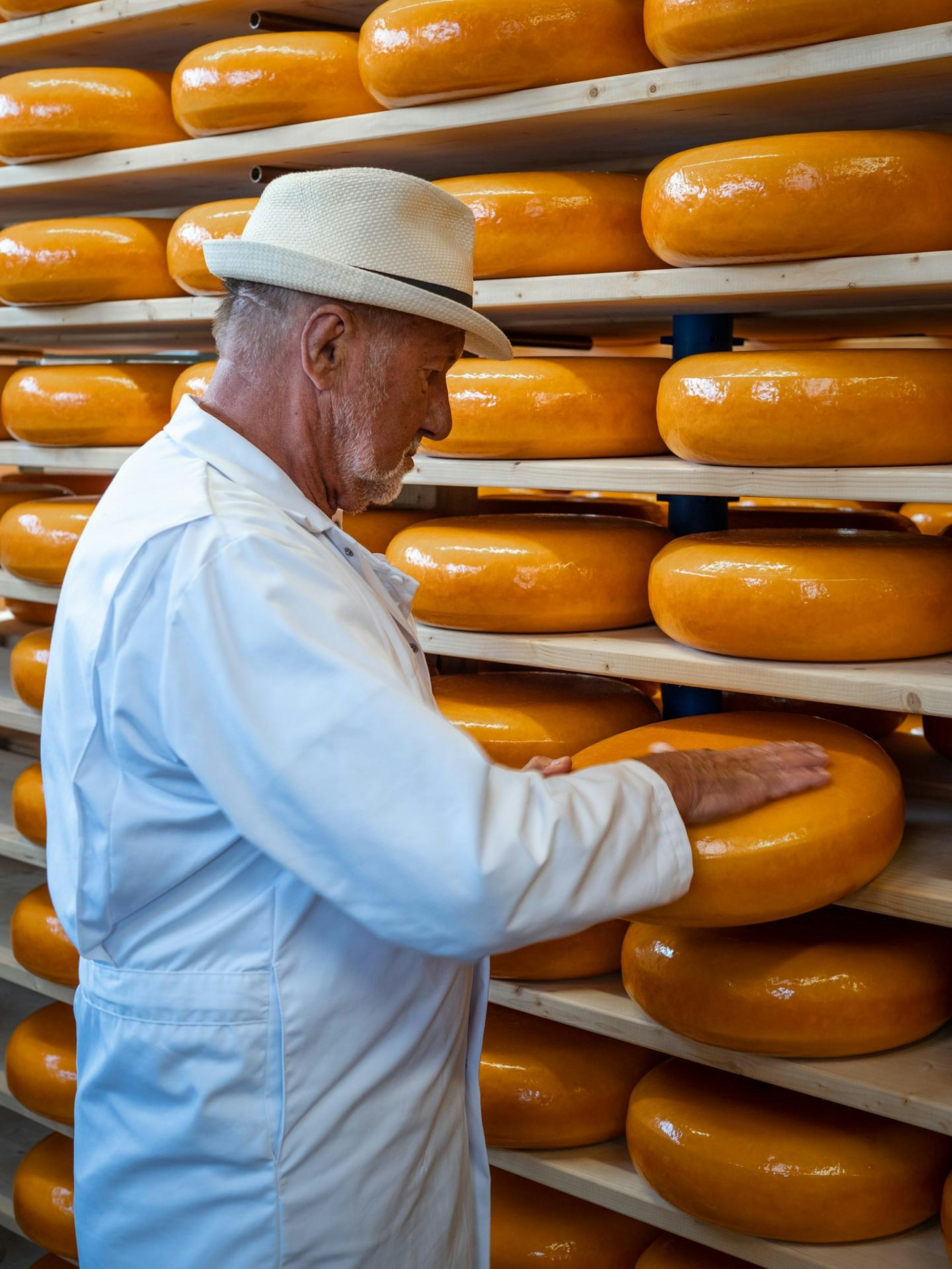 Regalweise Käse - im Kaaspakhuis in Woerden kein Problem! Bild Visit Utrecht Region