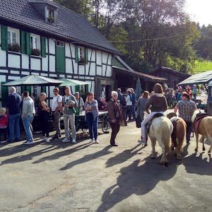 Gammersbachermuehle Reiche mit Ponys 2018