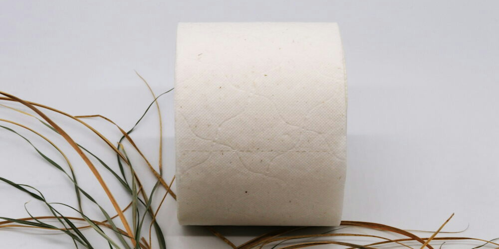 Das Toilettenpapier aus Gras wird in Hennef produziert und soll zunächst am Schweizer Markt getestet werden.