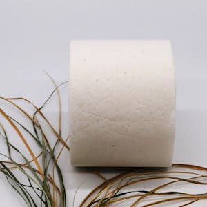 Das Toilettenpapier aus Gras wird in Hennef produziert und soll zunächst am Schweizer Markt getestet werden.