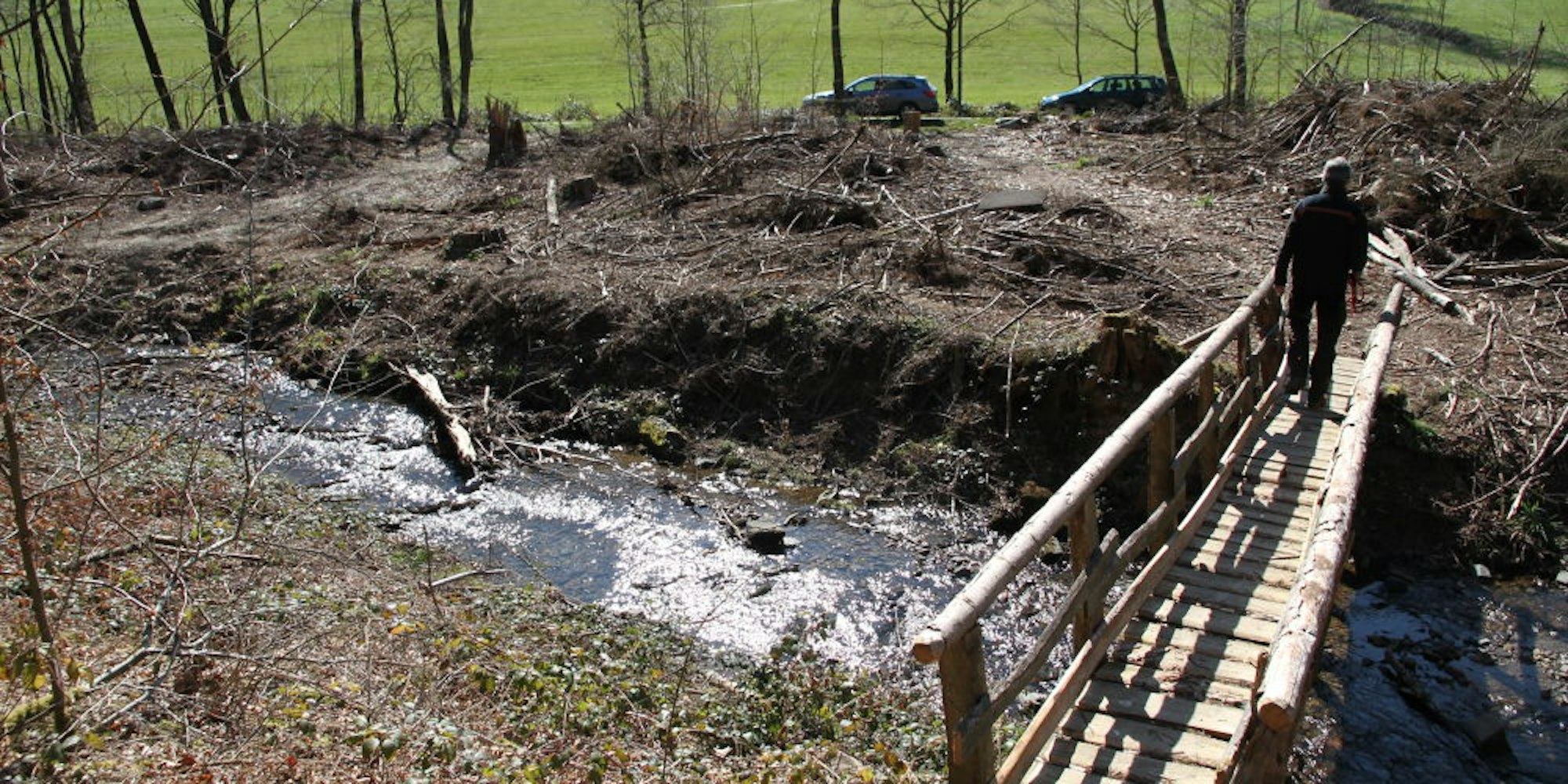 Zahlreiche Fichten wurden wegen der Dürre am Eipbach bereits abgeholzt.