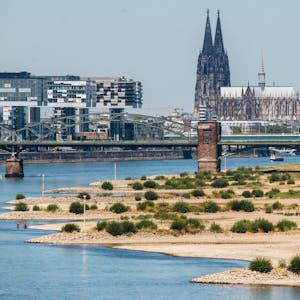 trockener Rhein