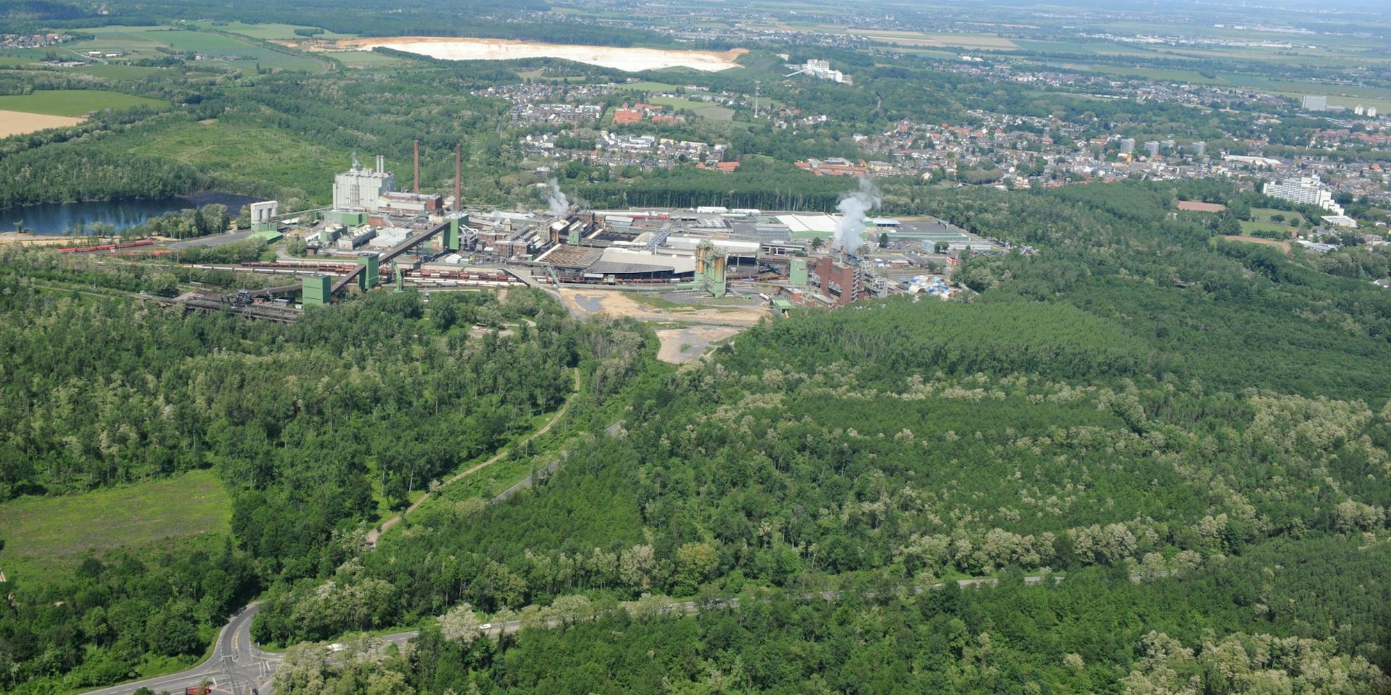 Der Wald in direkter Nachbarschaft zur Brikettfabrik Wachtberg könnte laut SPD ein Industrie- oder Gewerbegebiet werden.