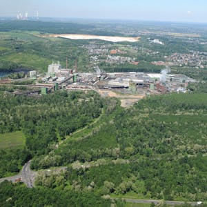Der Wald in direkter Nachbarschaft zur Brikettfabrik Wachtberg könnte laut SPD ein Industrie- oder Gewerbegebiet werden.