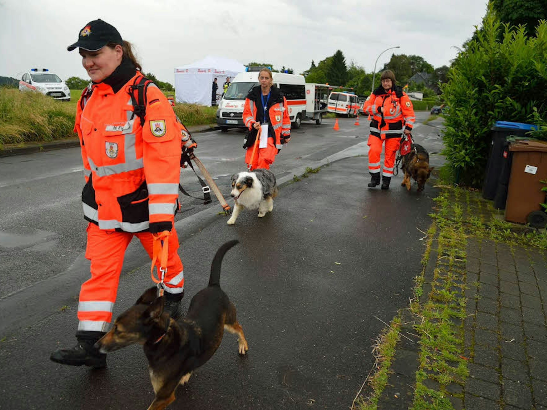 Rettungshunde der Johanniter suchten bei Moitzfeld nach der vermissten Frau – mit Erfolg.