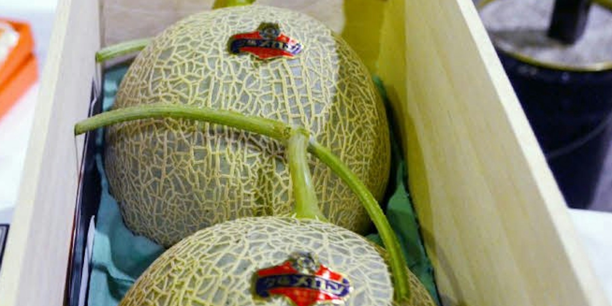 1,5 Millionen Yen, umgerechnet 11 000 Euro, brachte das Melonenpaar bei einer Versteigerung in Sapporo.