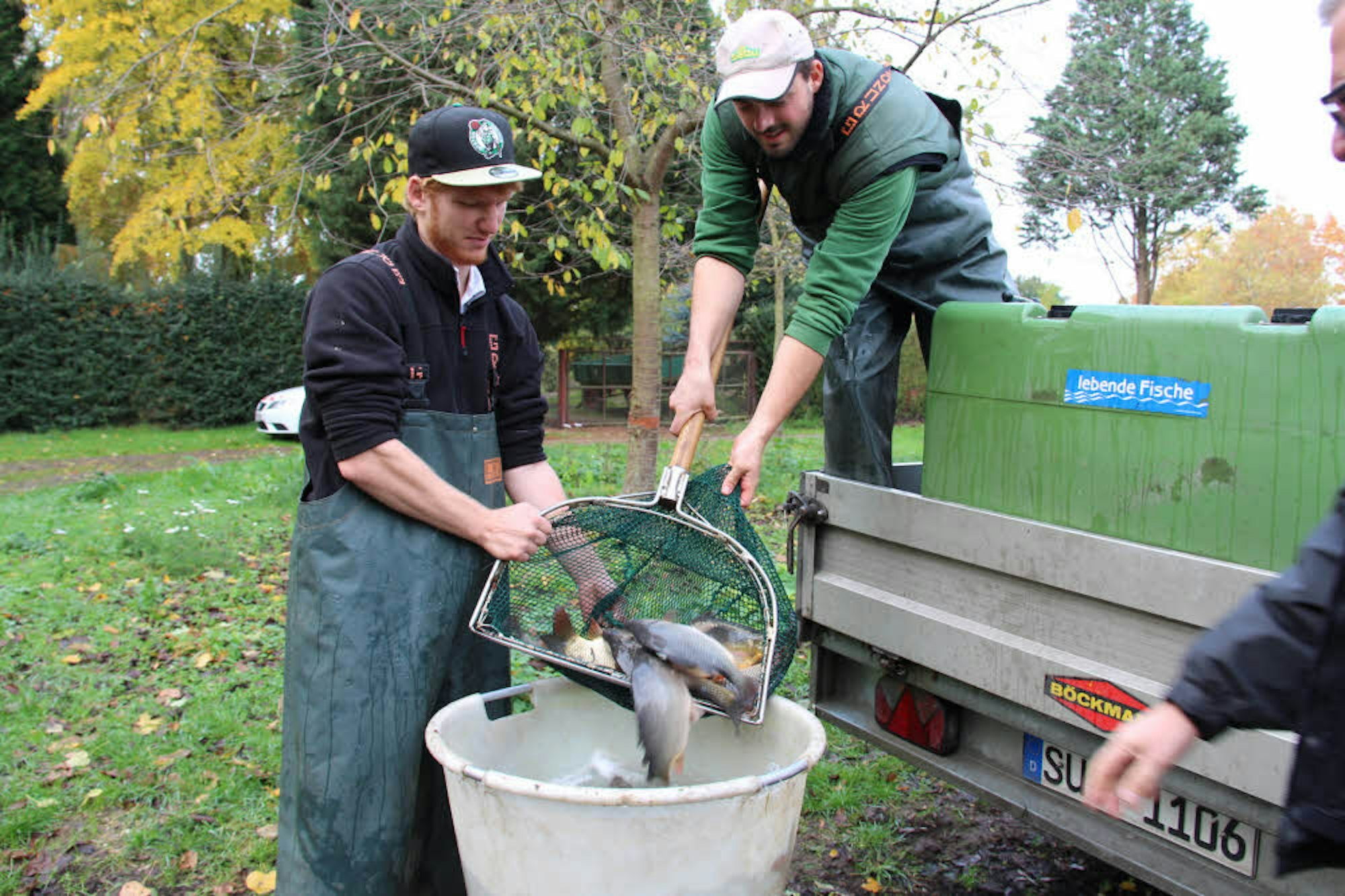 Mitarbeiter der Firma Pilgram Fischzucht brachten die Jungtiere nach Bergheim, auch zweijährige Schleien wurden den Pächtern verschiedener Erftabschnitte übergeben.