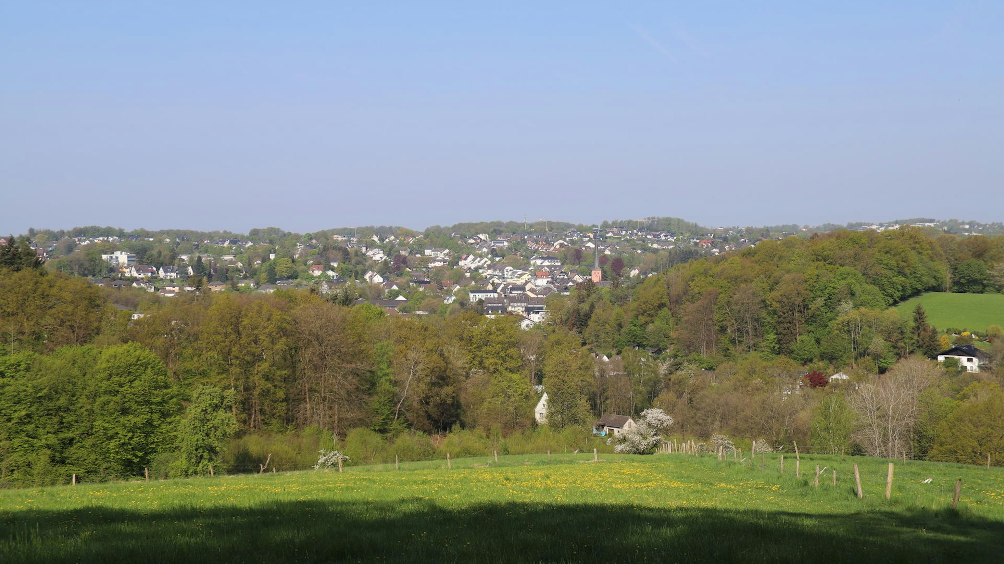 Das Foto zeigt eine Wiese. Im Hintergrund ist ein Dorf zu sehen.