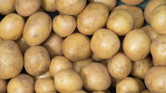 Kartoffeln sind ein wichtiger Bestandteil vieler rheinischer Gerichte.