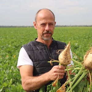 Landwirt Willi Liesenberg zeigt den Unterschied: eine normal gewachsene Knolle und eine, die erst etwa fünf Wochen nach der Einsaat ihr Wachstum aufgenommen hat.