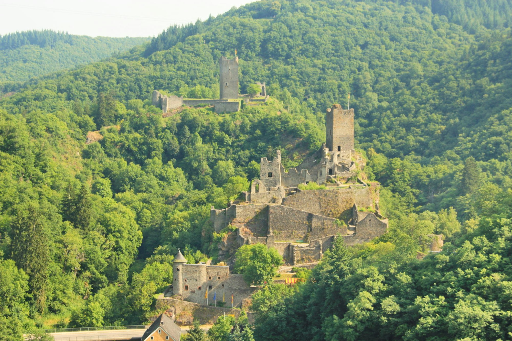 Blick auf die Burg Manderscheid von Loga