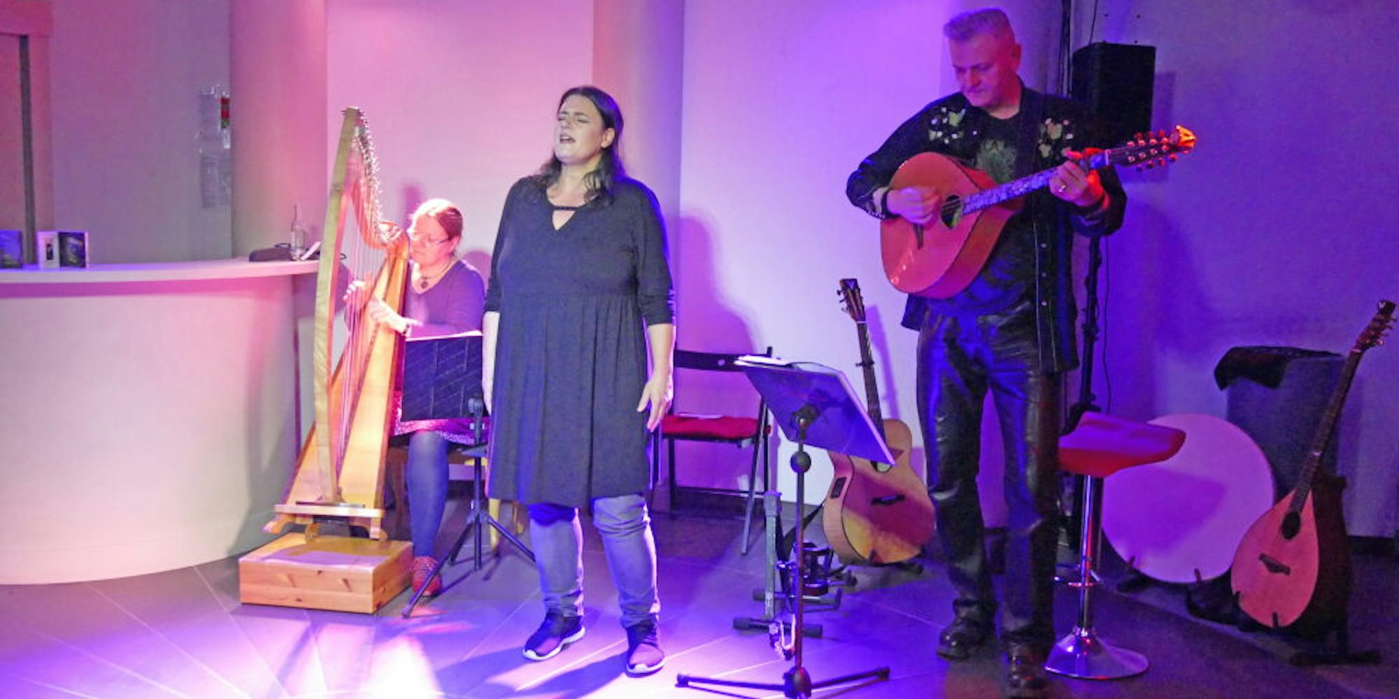 „Sackville Street“–drei Folkmusiker aus dem Ruhrgebiet.