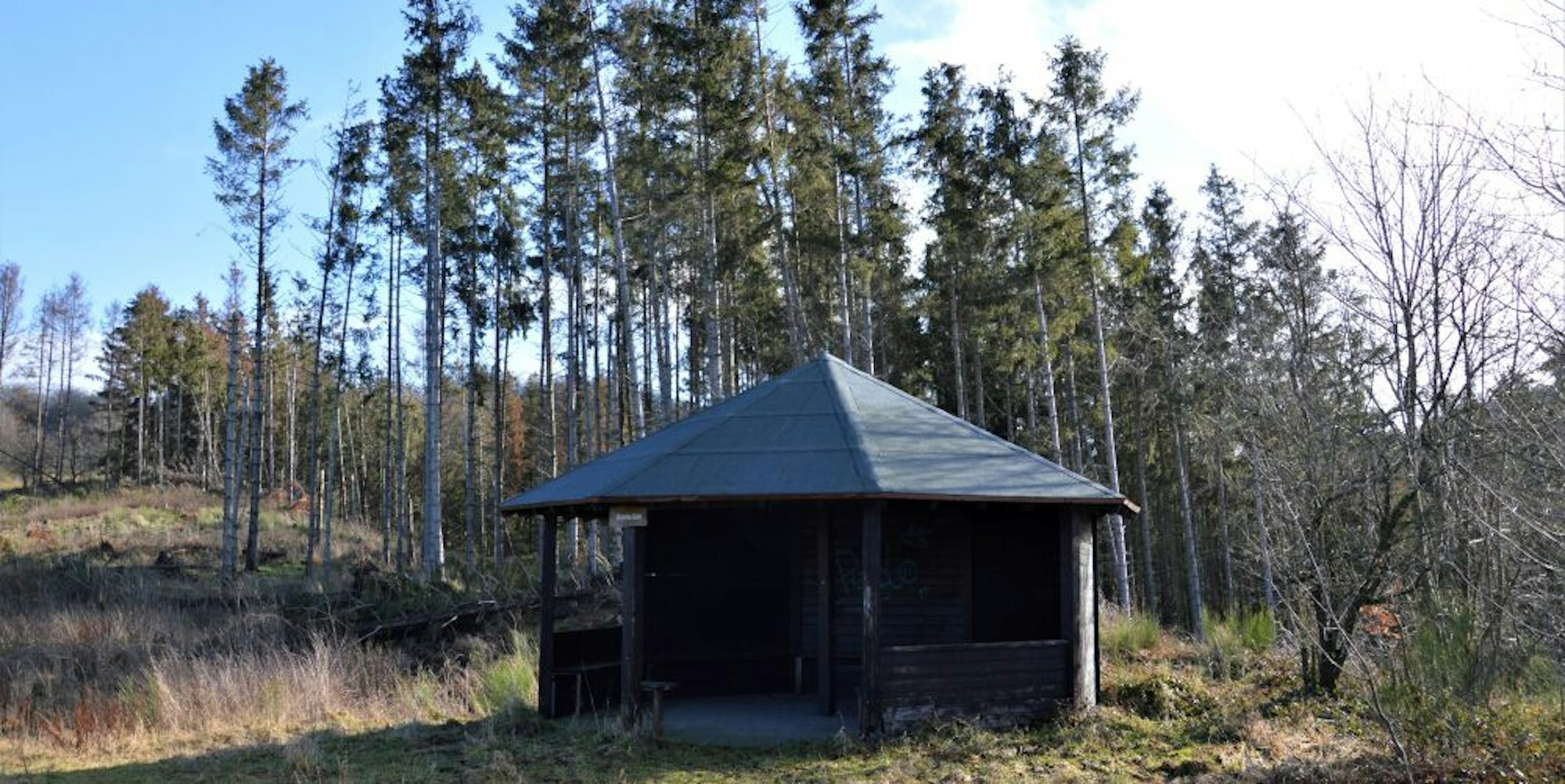 Der Fichtenbestand an der Olefer Grillhütte wurde vom Borkenkäfer zerstört. Dort soll nun der Klimahain entstehen.