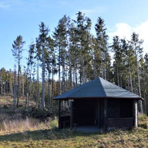 Der Fichtenbestand an der Olefer Grillhütte wurde vom Borkenkäfer zerstört. Dort soll nun der Klimahain entstehen.