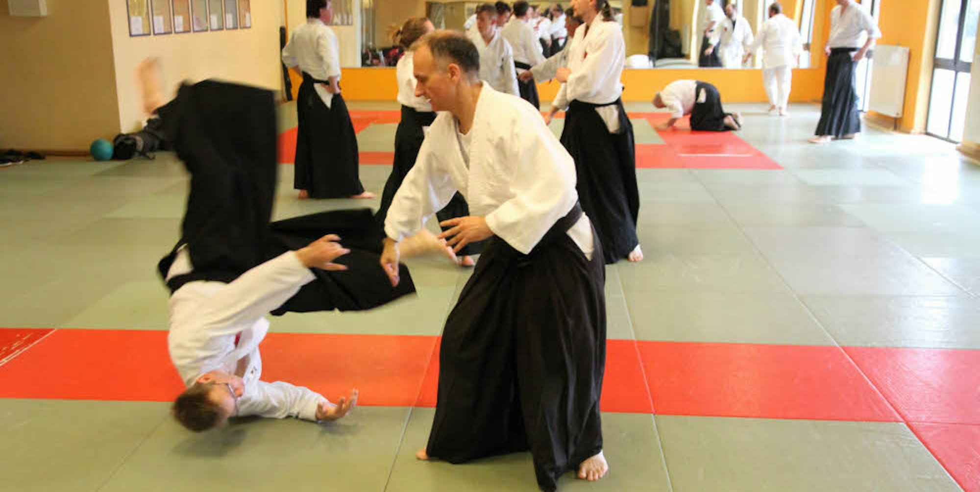 Geschmeidig aufs Kreuz gelegt: Lehrgang des Aikido-Dojo Sankt Augustin im Sportcenter Taisho Siegburg.