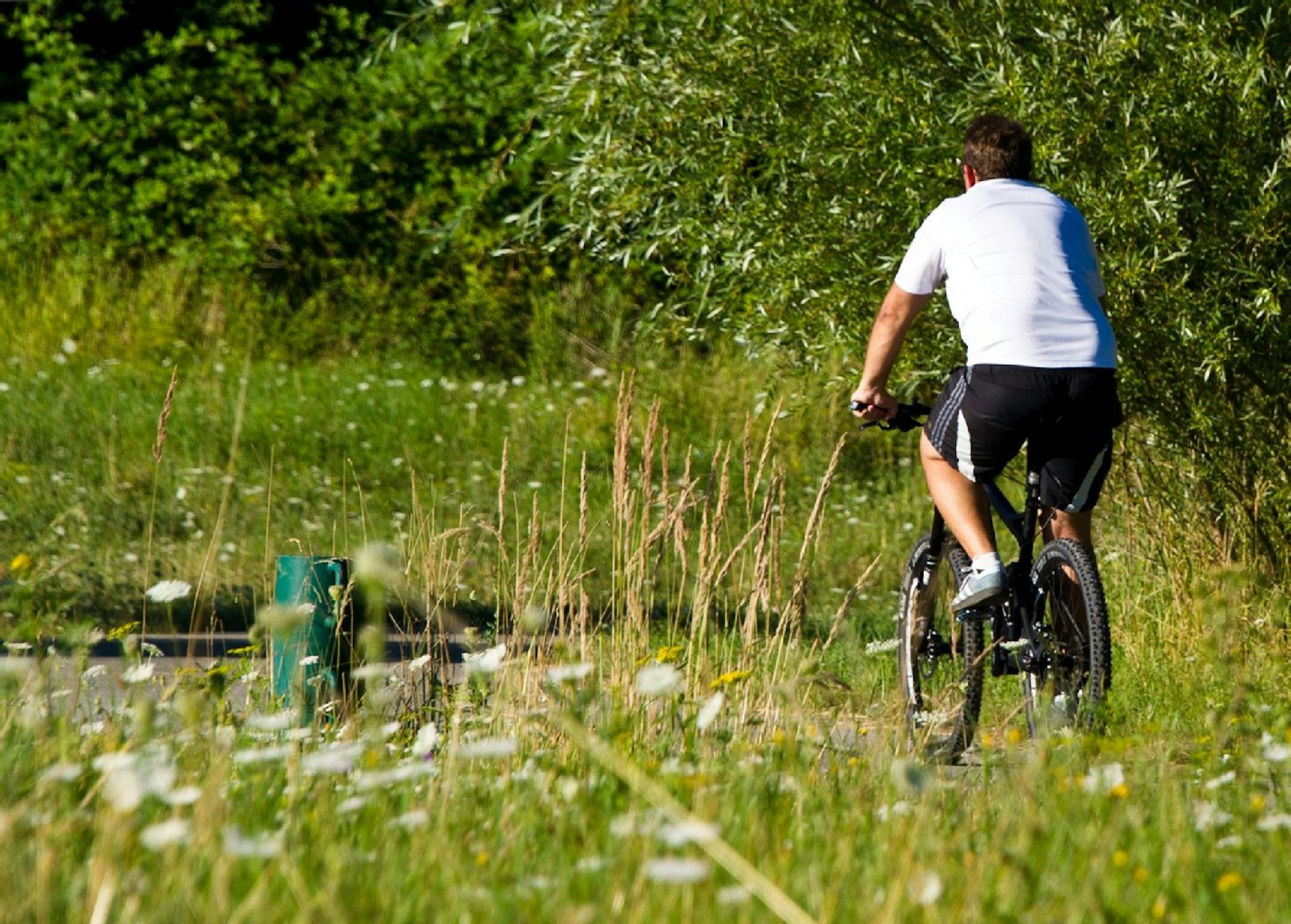 Einmal durch den Stadtwald ist ein Klassiker für Großstadt-Biker.