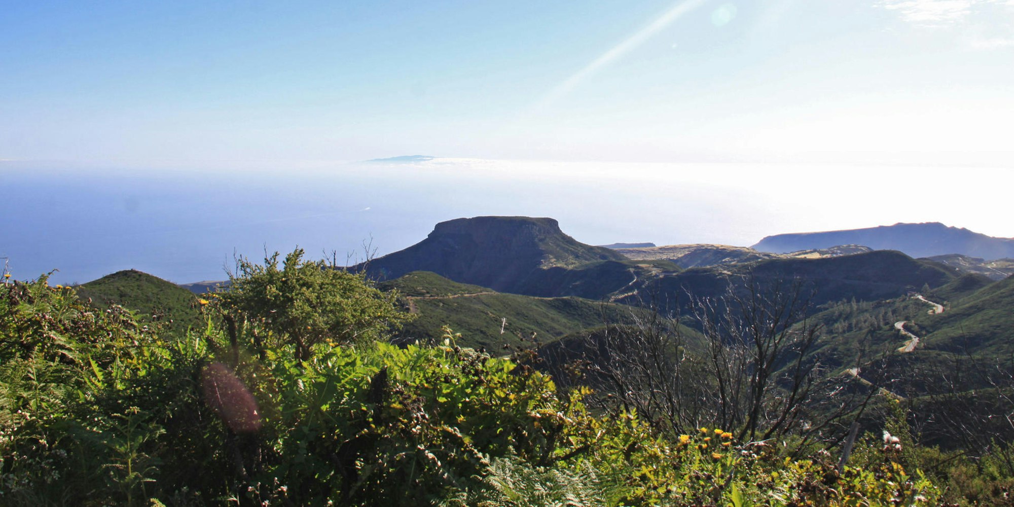 La Palma Panorama