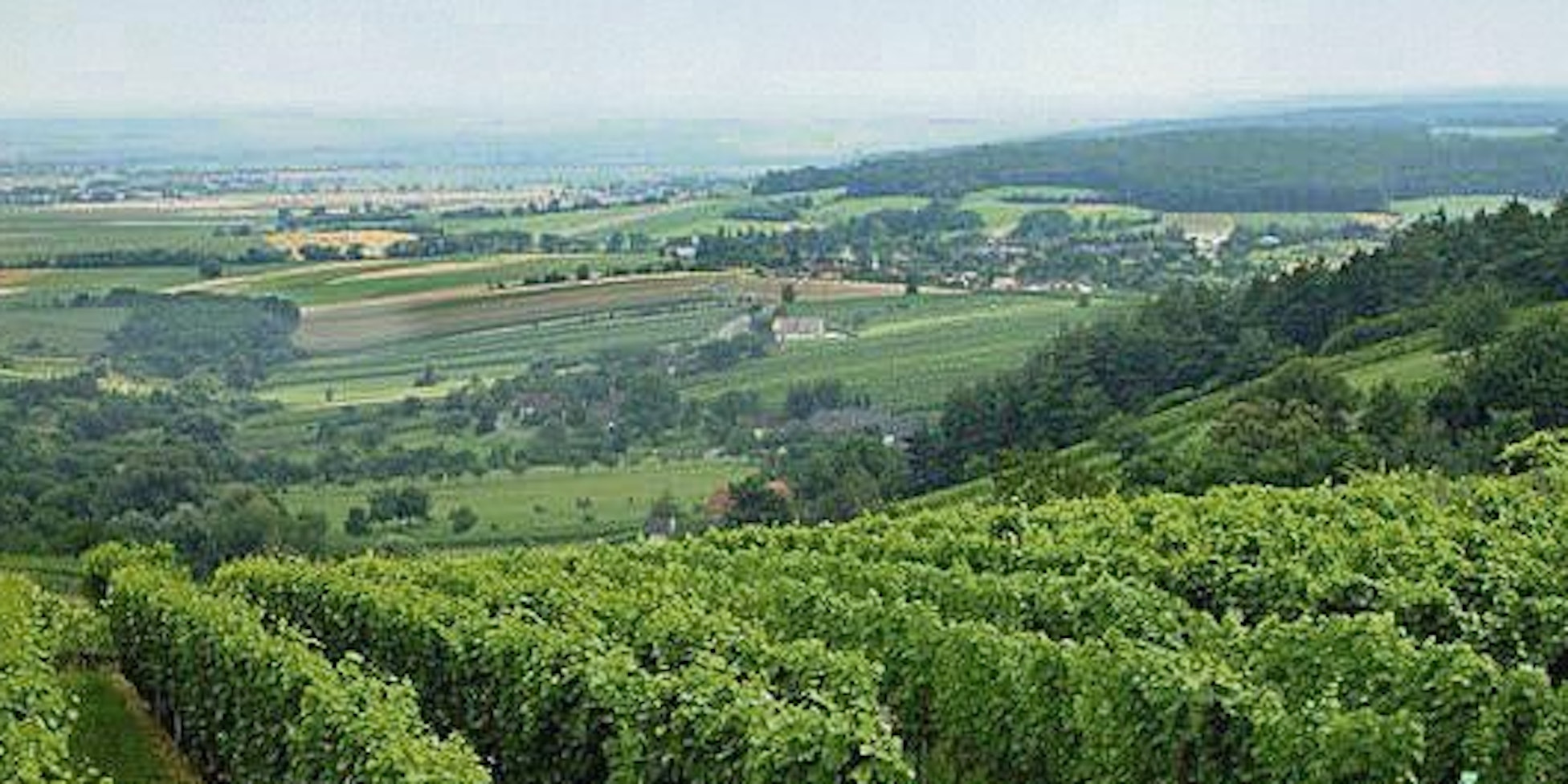 Das Weinbaugebiet Eisenberg in Südösterreich