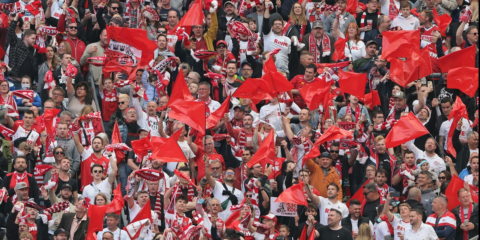 Fans des 1. FC Köln