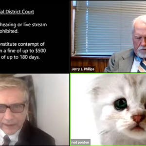 Katzenfilter Anwalt